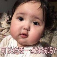 柴星星