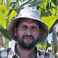 Emad Mohamed