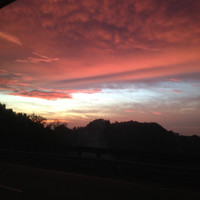 Chan Ho Yin