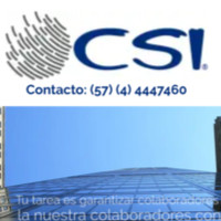 Analistas Csi