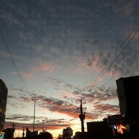 محمد دکوروتیک