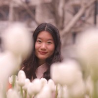 Jingwen He