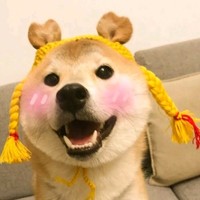 朱慧颖
