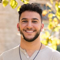 Waleed Amer