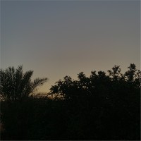 يزيد الشمري