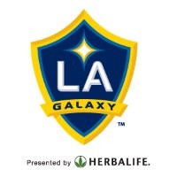 La Galaxy Service Team
