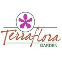 Terraflora Garden
