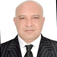 Mohamed Adel Farroukh