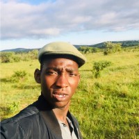 Craig Chihuri