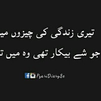 S Touseef Nabi
