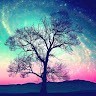 Relaxing Nature Sounds