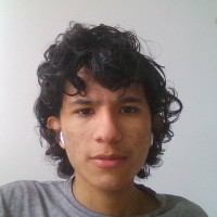 LUIS GABRIEL BLANCO BUITRAGO