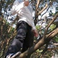 黄承义