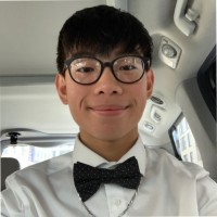 Mark Loi