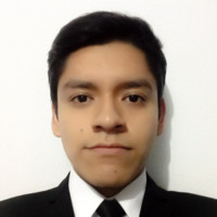 Roger Fernando Callata Cardenas