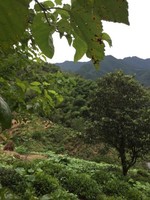 方福堂