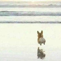 陈可达