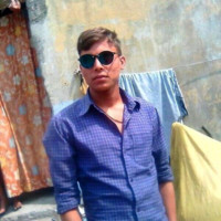 Bittu Kr
