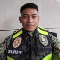 Jerald Hullon