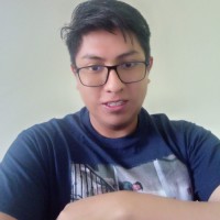 Joel William Mendoza Paucara