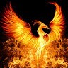 Phoenix wing