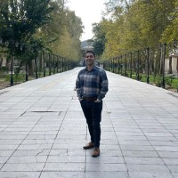 Hamid Mansourian