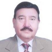 Syed Shaukat Hameed