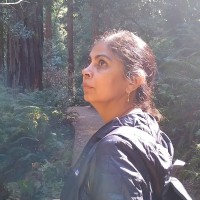 Anu Behl Roy
