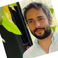 Fernando Manzur Freig