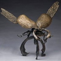 Judy Odonnell