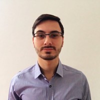 Luiz G. L. Germiniani