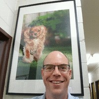 Noel Sheehan