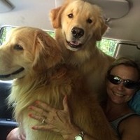PAWS Pet Sitting Service