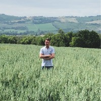 Maurizio Maffi