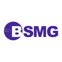 Bs Metal Group