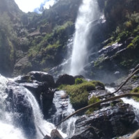 Muises Mamani