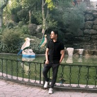 Mohsen Mojadam