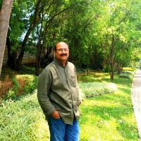 Prasad T