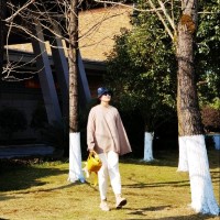 S. CHEN