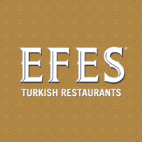 Efes Group Ltd