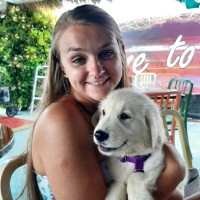 Angelina Rex