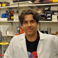 Joseph Bermudez