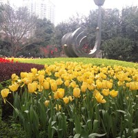 陈德虎