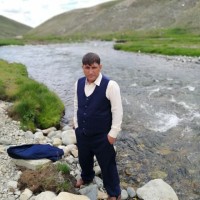 Naveed Hussain