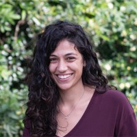 Danit Lerman