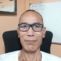 พึ่งพงศ์ พิพัฒนสกุลวงศ์