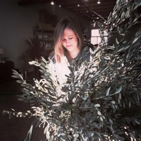 Tori Terzakis
