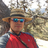 Romer Javonillo