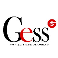 Gess Consulting