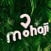 Tourtips Mohaji